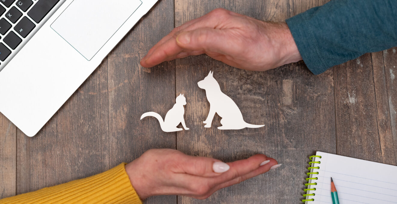 Assurance animaux